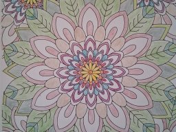 whatsapp image 2025-12-28 at 15.44.37